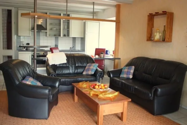 Wohnzimmer des Appartements mit Ledersofas, dahinter die offene Küche